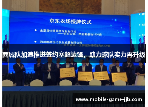 蓉城队加速推进签约塞超边锋，助力球队实力再升级