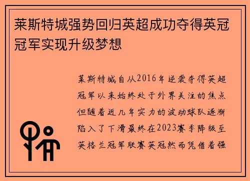 莱斯特城强势回归英超成功夺得英冠冠军实现升级梦想